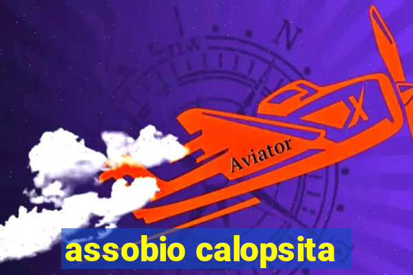 assobio calopsita