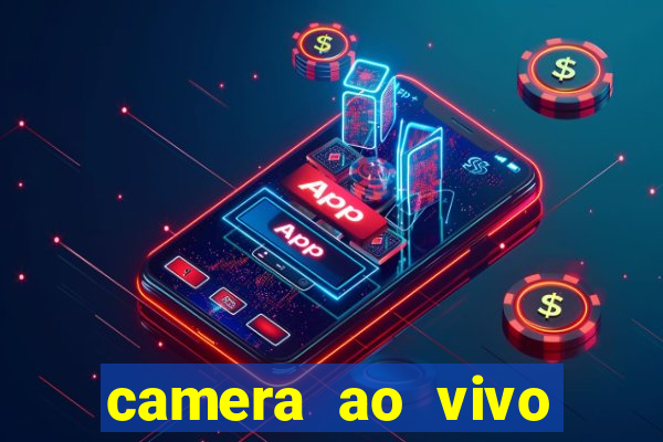 camera ao vivo terminal vila nova cachoeirinha