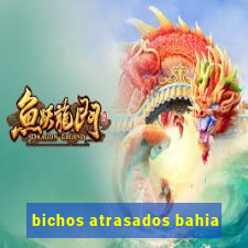 bichos atrasados bahia