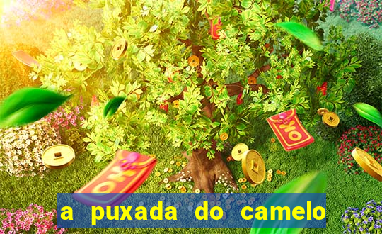 a puxada do camelo no jogo do bicho