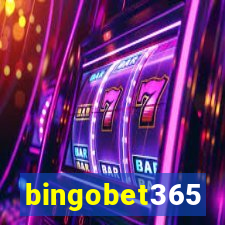 bingobet365