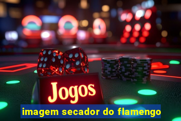 imagem secador do flamengo