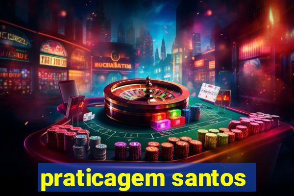 praticagem santos