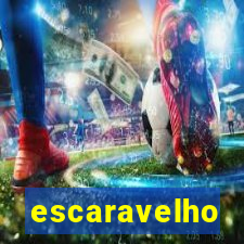 escaravelho significado oculto