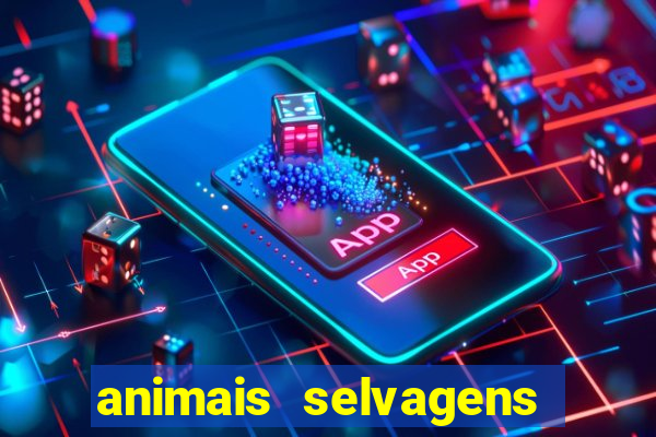 animais selvagens fotos e nomes