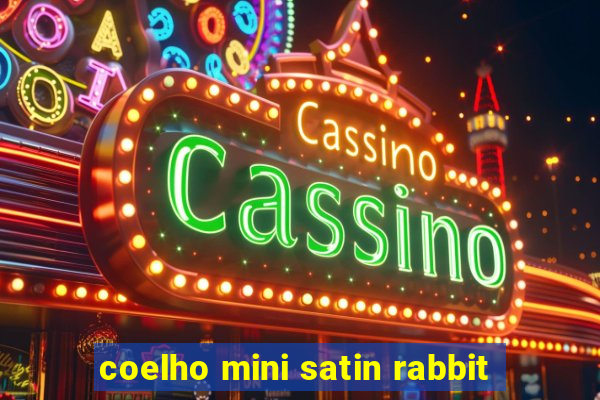 coelho mini satin rabbit