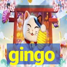 gingo