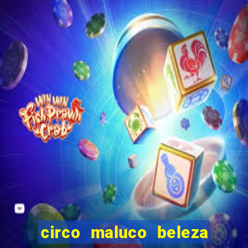 circo maluco beleza recife circo maluco